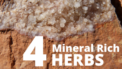 The Importance of Trace Minerals + 4 Mineral Rich Herbs