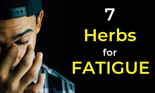best herbs for fatigue