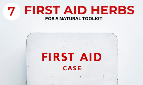 natural first aid kit with herbs