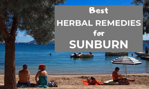 herbal remedies for sunburn that actually work