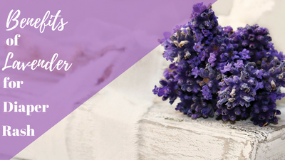 Benefits of Lavender for Diaper Rash
