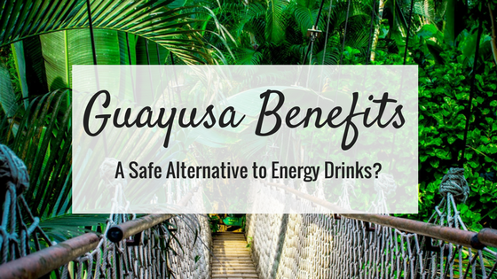 guayusa benefits