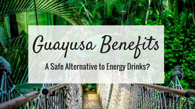 Top Guayusa Benefits: A Safe, Natural Energy Drink Replacement? 