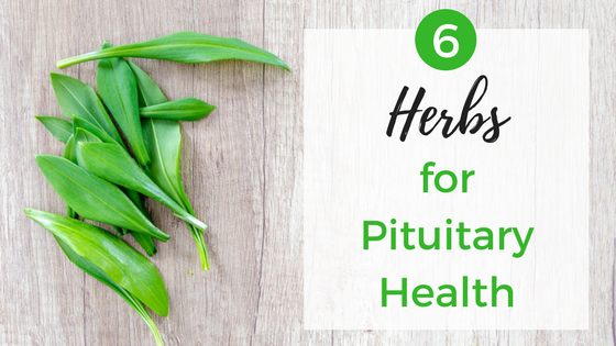 Top 6 Pituitary Herbs for a Healthy Pituitary Gland