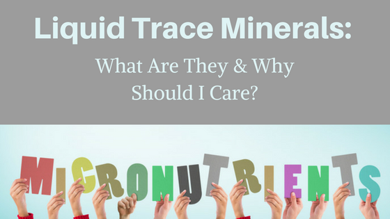 Liquid Trace Minerals: What Are They & Why Should I Care? 
