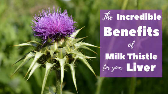 benefits of milk thistle for liver
