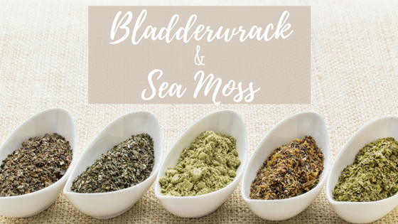 dried bladderwrack and sea moss in bowls