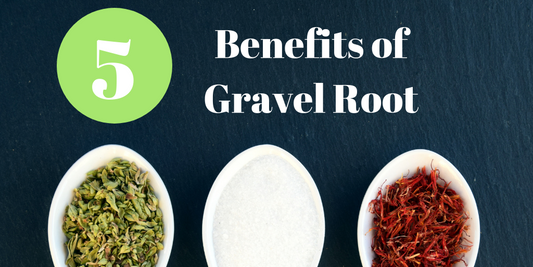 Learn the 5 benefits of gravel root that have been used for centuries.