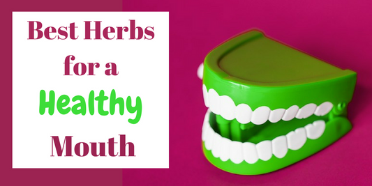 Best Herbs for Teeth and Oral Hygiene