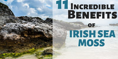 11 Benefits of Irish Sea Moss You Need to Know