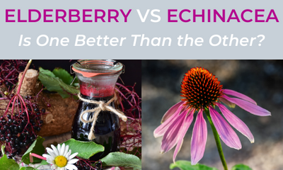 Elderberry Vs Echinacea