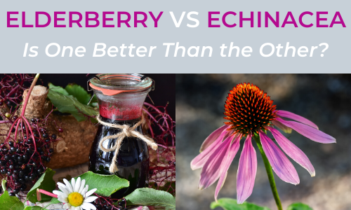 elderberry vs echinacea