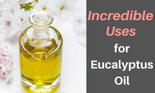 What Is Eucalyptus Oil Used For?