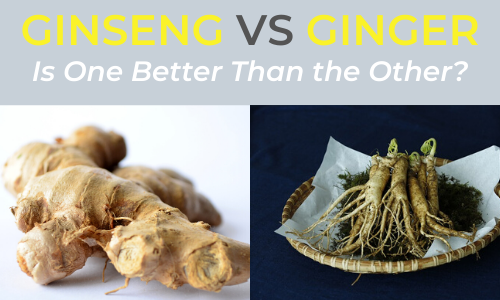 Ginseng vs Ginger