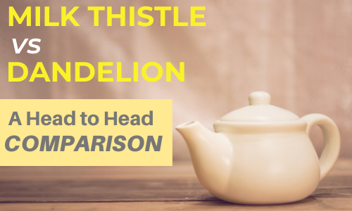 Milk Thistle vs Dandelion: A Modern Comparison