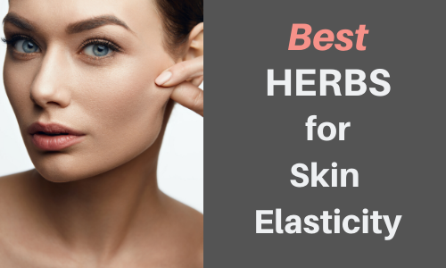Best Herbs for Skin Elasticity
