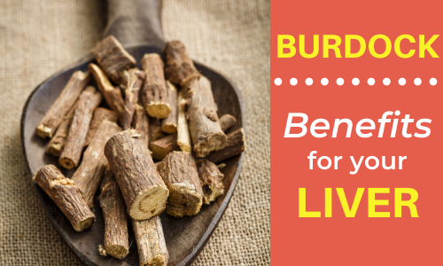 Benefits of Burdock Root for Your Liver