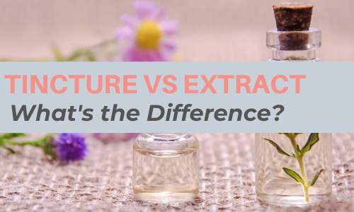 Tincture Vs Extract: What’s the Difference?