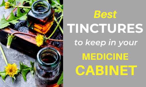 The Best Tinctures to Have on Hand