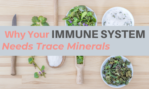 Benefits of Trace Minerals for Your Immune System